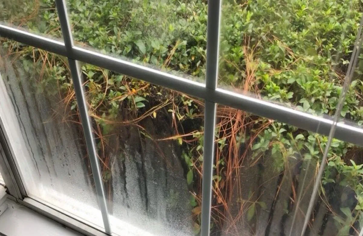 A double-pane window clouded and streaked with moisture trapped between the panes